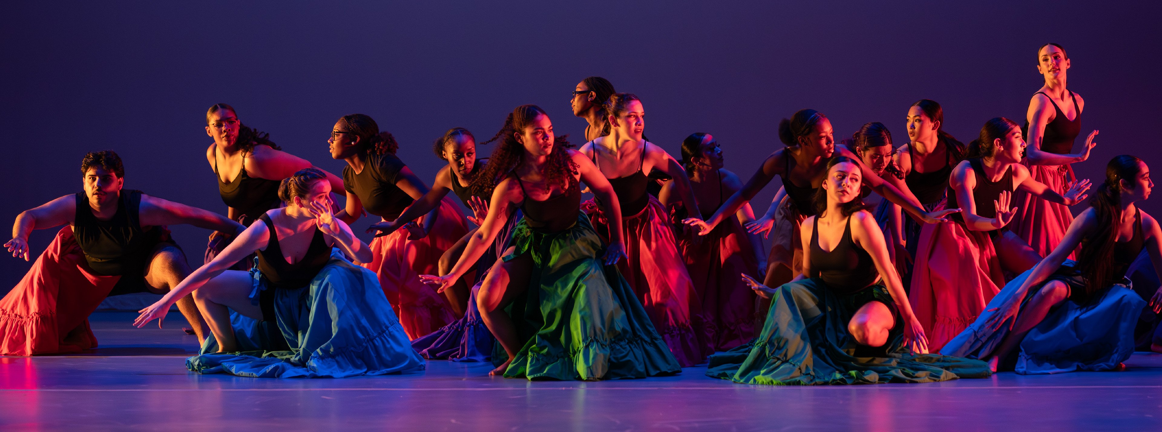 b1920xPalmetto header_s26.jpg