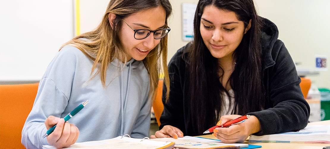 Two students in a Business Management in class