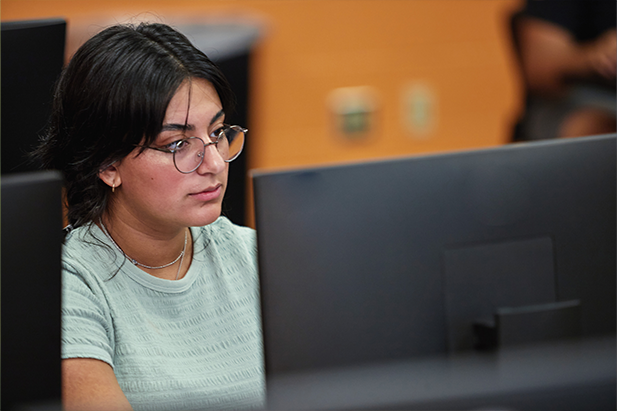 Photo of a student using a desktop