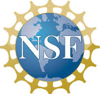 NSF Logo.jpg